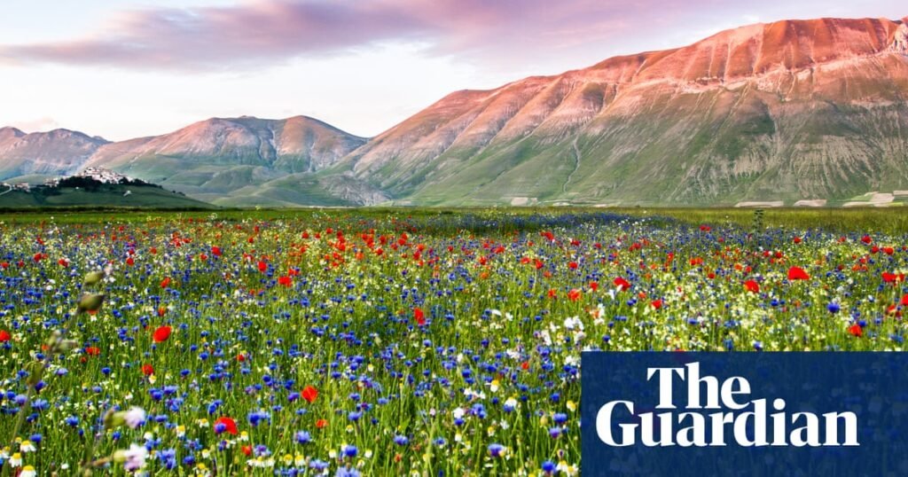 Summer in Europe’s lakes and mountains: 15 of the best holidays | Summer holidays