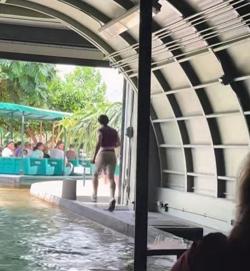 Guest Falls into Water at Living with the Land in EPCOT.
