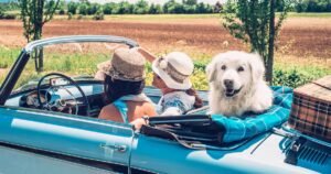 Best new snacks for summer road trips 2025