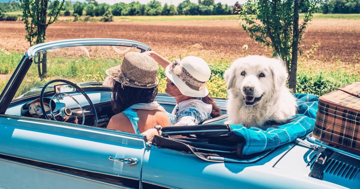 Best new snacks for summer road trips 2025