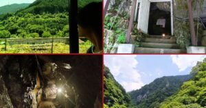 Our search for the coldest place in Tokyo to escape Japan’s heat wave takes us below the earth【Pics】
