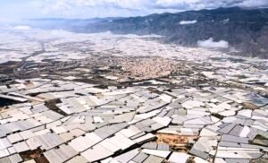 The Town Of El Ejido