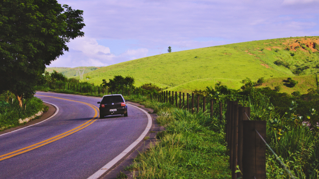 6 must-visit stops along the Bengaluru–Mysuru–Coorg scenic route