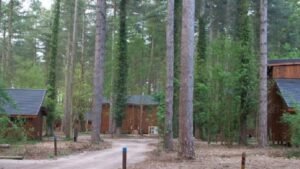£8.1M bid to install 22 holiday cabins in Beddgelert to be considered by Eryri planners