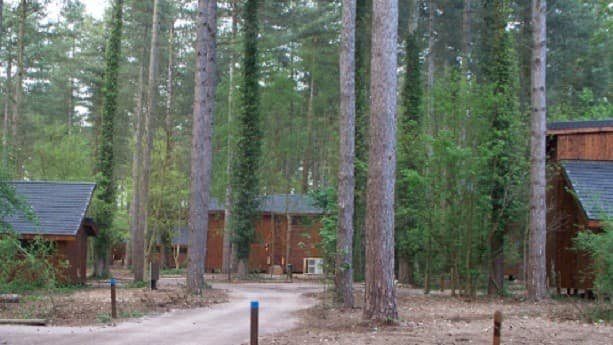 £8.1M bid to install 22 holiday cabins in Beddgelert to be considered by Eryri planners