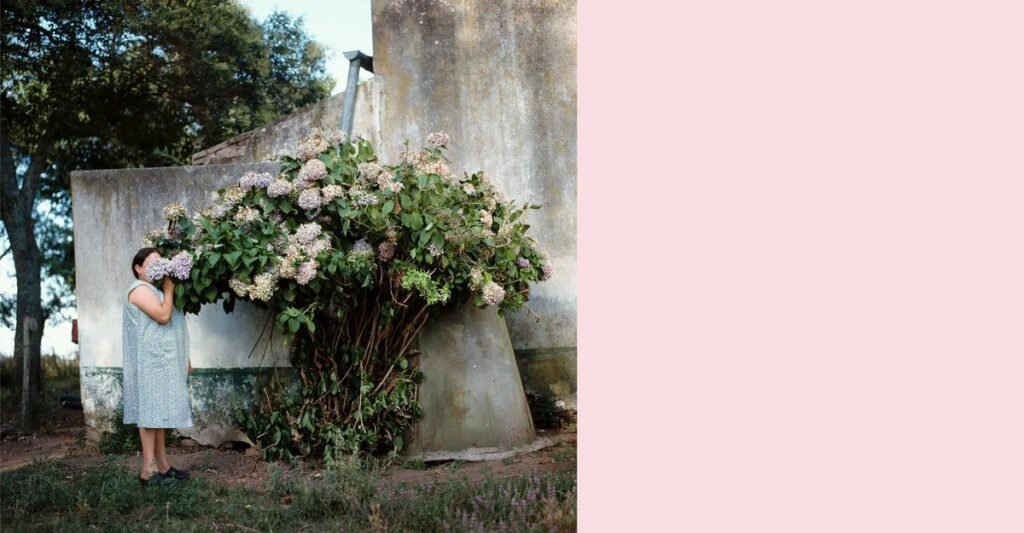 An easy summer project worth doing