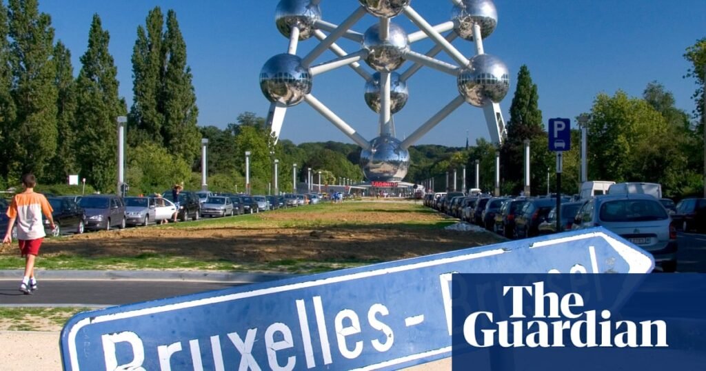 Complaint upheld against Belgian ticket inspector who said ‘bonjour’ in Flanders | Belgium