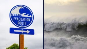 Tsunami Sign and Waves