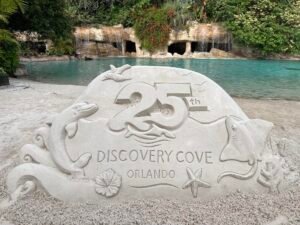 Discovery Cove celebrates 25th anniversary as Orlando park surpasses 8 million visitors
