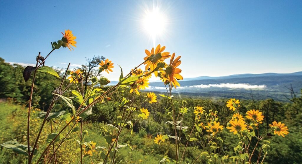 Drive or Ride the Pig Trail Scenic Byway in Arkansas