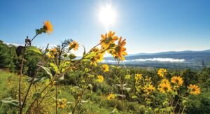 Drive or Ride the Pig Trail Scenic Byway in Arkansas