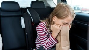 The evolution of holiday road trips: From Kingswoods to GPS - Glenn Dwight