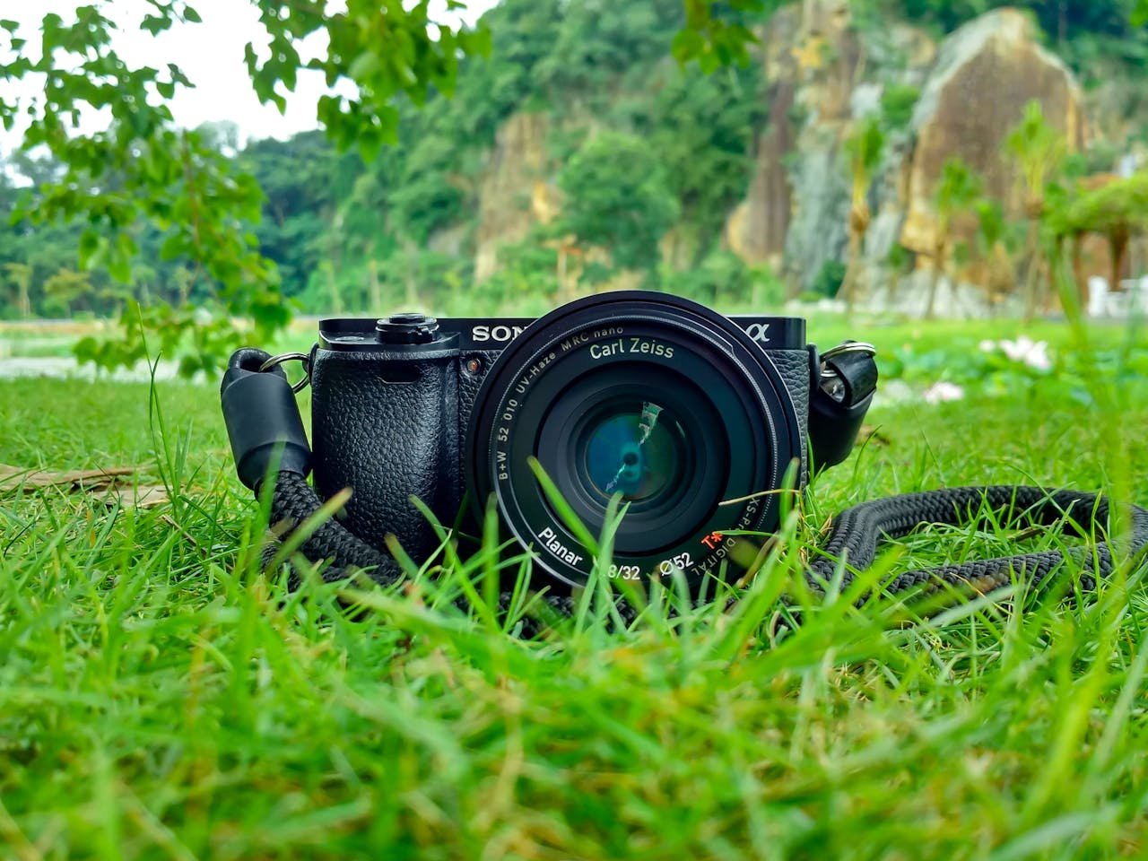 Top 10 Best Cameras | Expert Review | Rankings & Ultimate Buying Guide ...