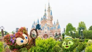 Top Places To Go For The Ultimate Fun Rides