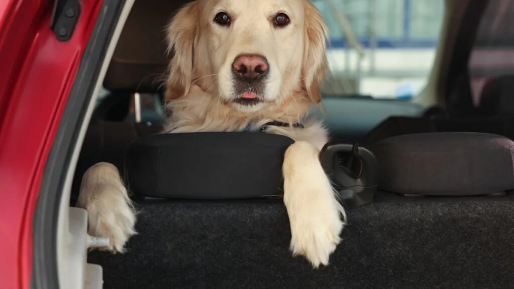 Yahoo lifestyle home