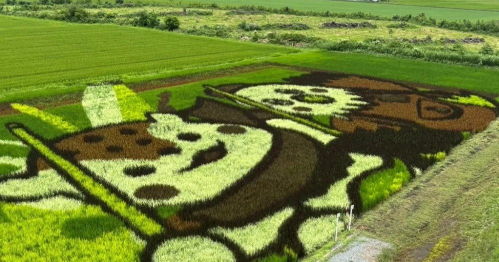 Visiting Hokkaido’s adorable and awesome Asahikawa rice paddy art【Photos】