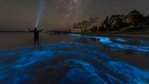 10 alternative travel trends 2025