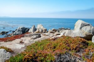 5 Great Summer Road Trips In America