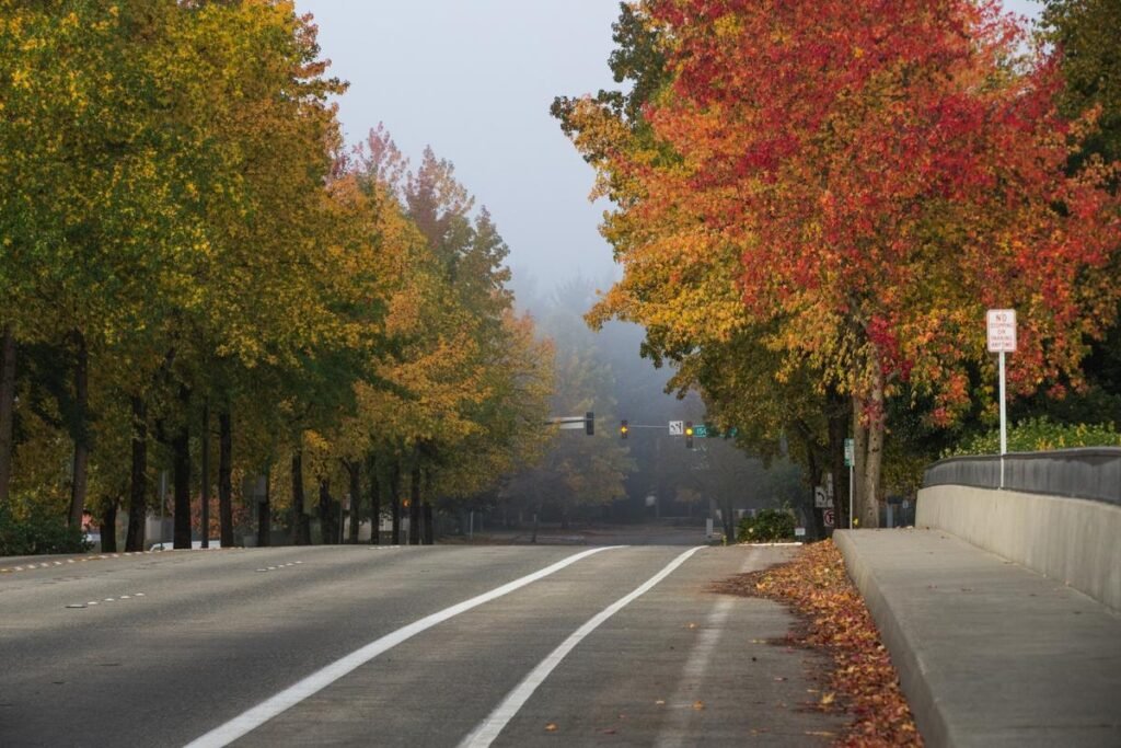 8 Best Washington Fall Road Trips for Stunning Views