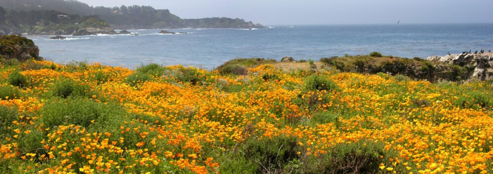 August Road Trip: Seeking California’s ‘Coolest Spots’ 