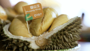 Durian musicals to a theme park: How this Malaysian company is innovating with the world’s most divisive fruit