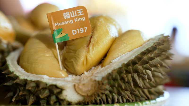Durian musicals to a theme park: How this Malaysian company is innovating with the world’s most divisive fruit