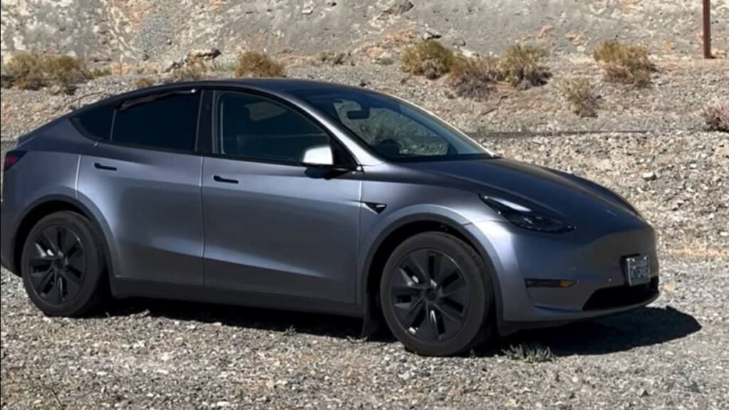 2024 Tesla Model Y