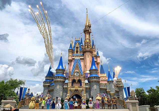 A man who had a job at Disney World for eight years has laid bare what he said are the grim realities of working at the Happiest Place on Earth (stock image)