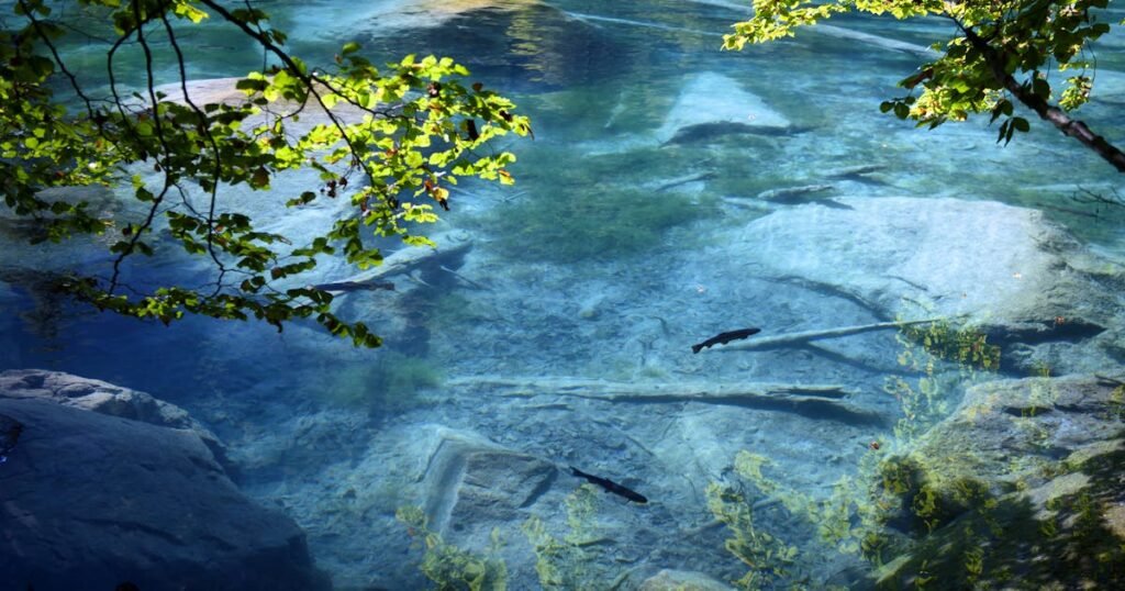 "Increased in popularity": More and more people are holidaying in Switzerland - will it become the next hype destination?