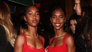 Sean 'Diddy' Combs' twin girls were unexpectedly forced off theme park ride