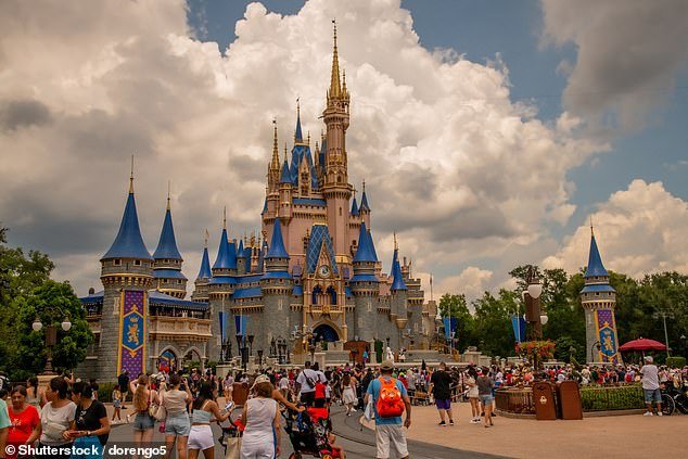Former Disney World employees took to Reddit this month to share the secret codes that are often used to indicate a sensitive or potentially hazardous situation involving guests at the park