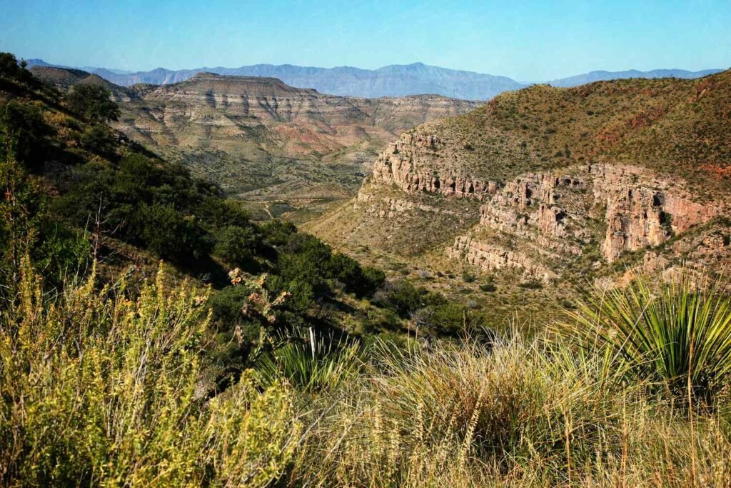 The Essential Road Trip Guide to Pinto Canyon
