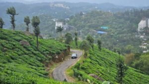 We drive three Hondas through the Western Ghats in the monsoon. How do they fare?