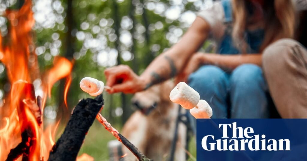 ‘I watched the children uncurl’: people share stories of affordable UK camping holidays | Camping holidays