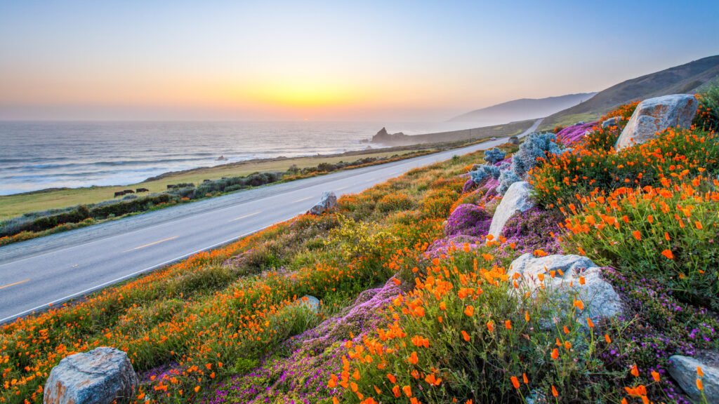 14 Road Trips To Add To Your List If You Love Seeing Stunning Wildflowers