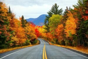 5 Fall Road Trips In The U.S. That Pair Changing Leaves With Unforgettable Events