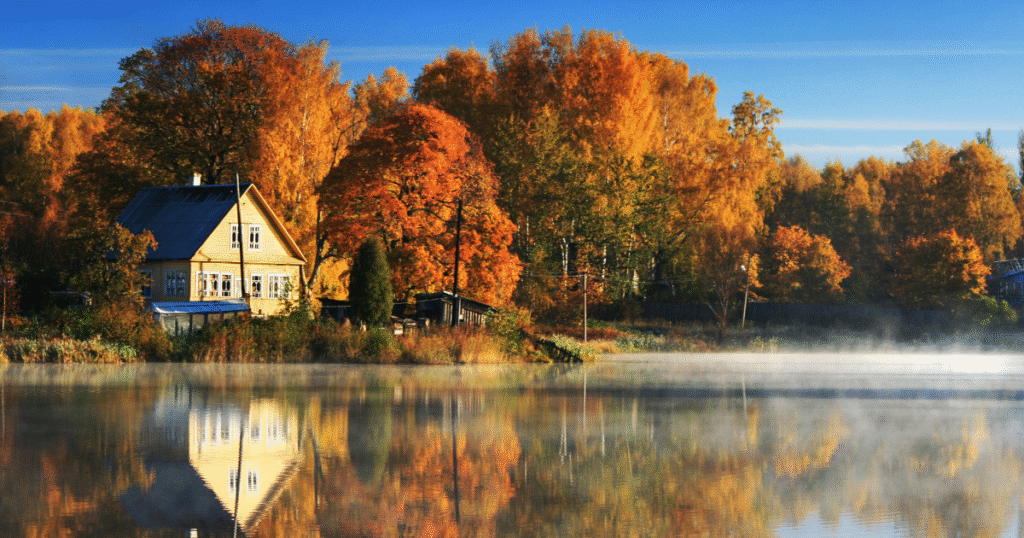 Fall leaves pepper a road with fall trees in Tennessee.