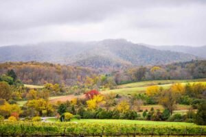 7 Best Destinations In The South, According to Travel Experts