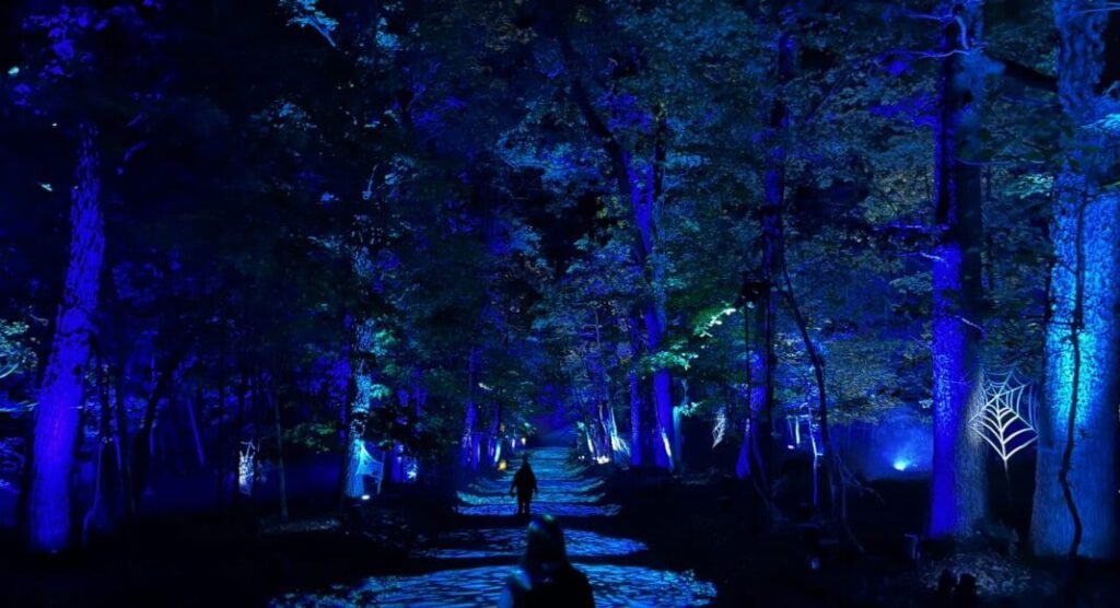 A Magical Road Trip: Harry Potter’s Forbidden Forest Comes to Cincinnati