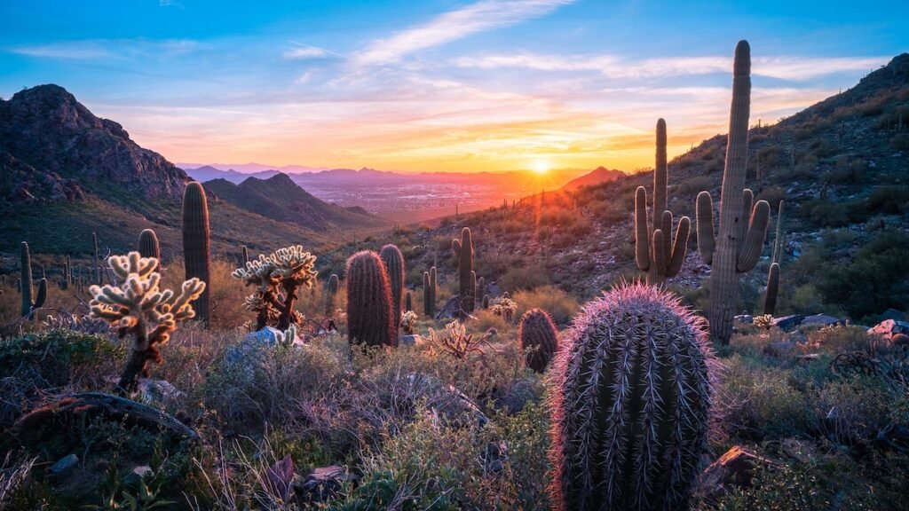 A family travel guide to Scottsdale, Arizona