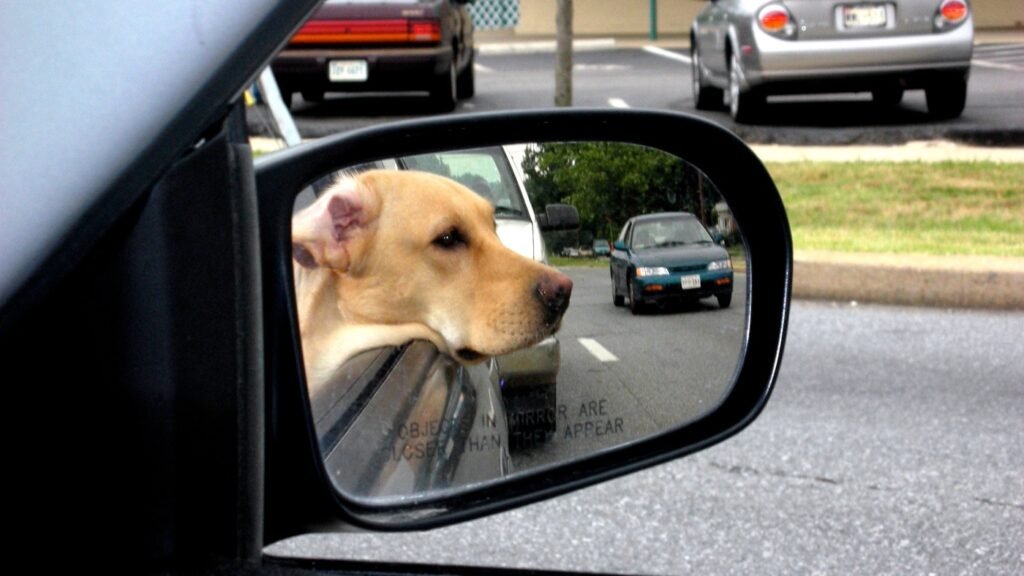 All Songs Considered : NPR