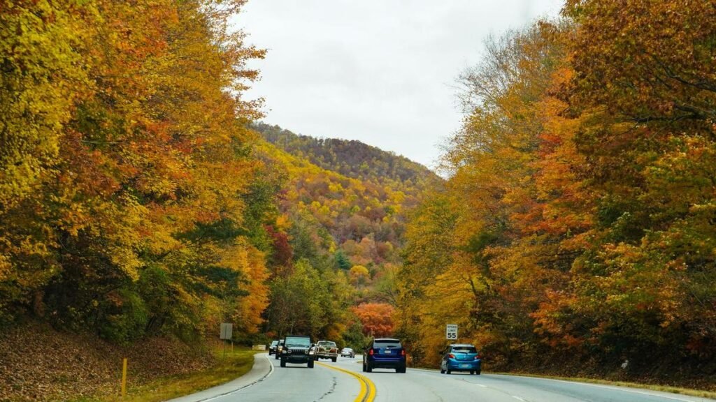 Breathtaking Massachusetts Road Named 'Most Beautiful Highway'