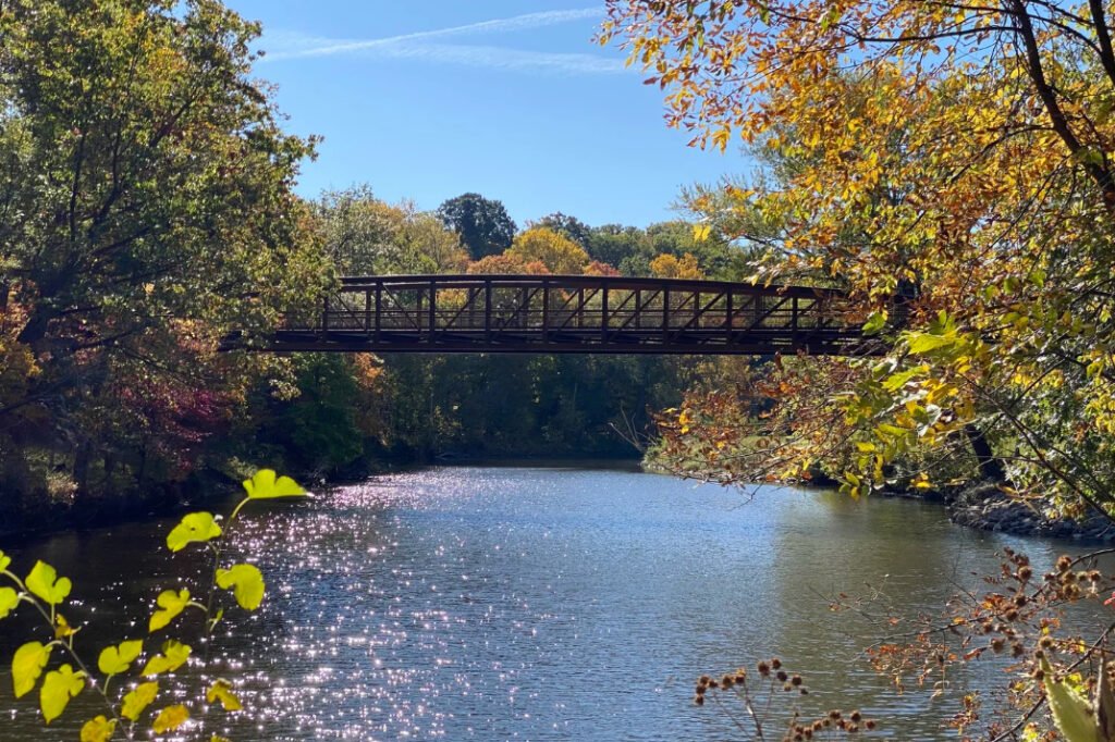 Cascade Park Is Just A Road Trip Away