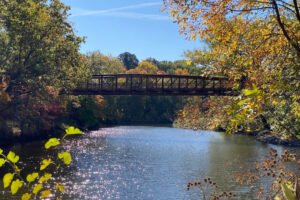 Cascade Park Is Just A Road Trip Away