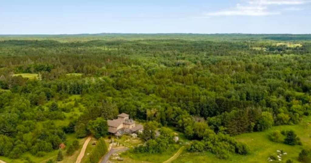 A historic fire engine is on display in a small brick building near a tree with bright autumn foliage.