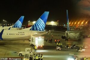 On Monday, Flight 1871 bound for Denver struck the tail of another of the airline's fleet while pushing back from the gate around 9.10pm
