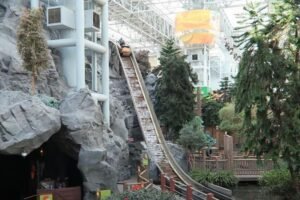 Why The Log Chute At Mall Of America Is Temporarily Closed