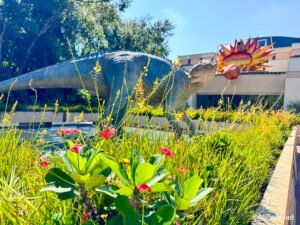 CONFIRMED: 7 Disney World Attractions Will Permanently Close in February