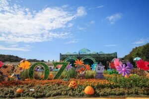 Everland Ginkgo Forest / Photo = Everland