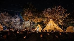 Fox 11 Tri Cities Fox 41 Yakima